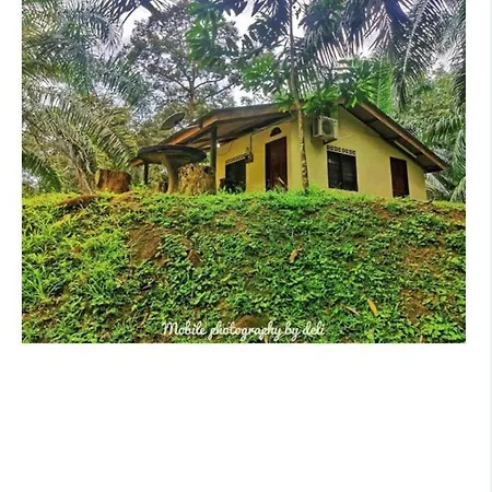 Lang Buana Eco Park Hotel Jerantut Exterior photo