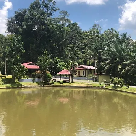 Lang Buana Eco Park Hotel Jerantut Exterior photo